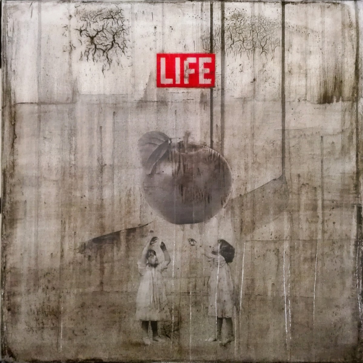"life" - acryl, papier, kunstharz auf leinwand - 50 x 50 cm